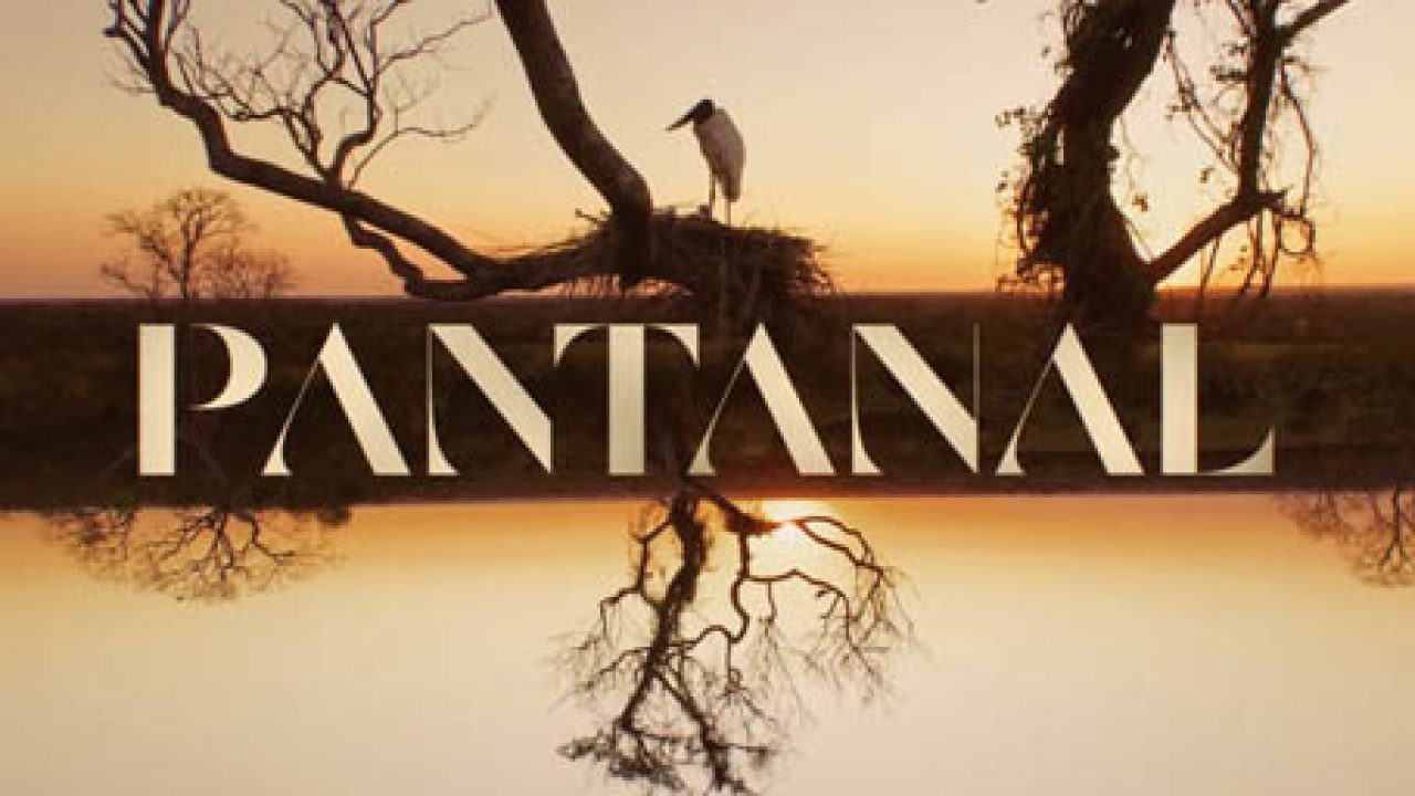 Novela Pantanal