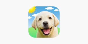 App Weather Puppy