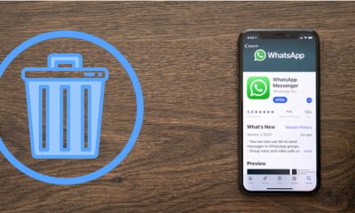 ver mensagens apagadas do whatsapp