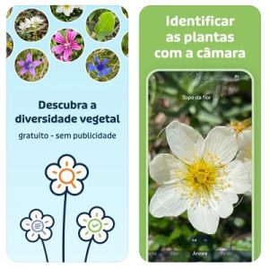 Melhores aplicativos para identificar plantas