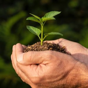 Lista com 5 cursos gratuitos da FGV para impulsionar a carreira